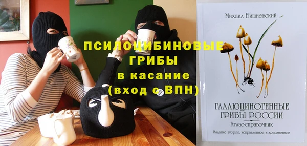 не бодяженный Алексин