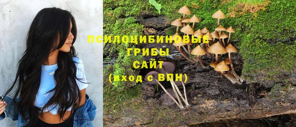 а пвп мука Алзамай