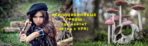 а пвп мука Алзамай