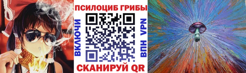 Псилоцибиновые грибы Psilocybe  omg маркетплейс  Белёв  как найти  